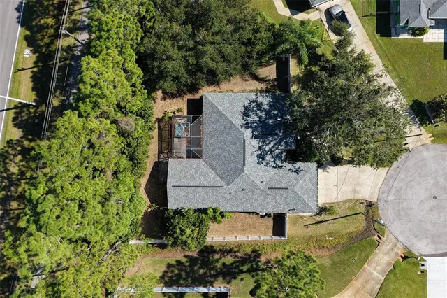 a view of a city with lush green forest