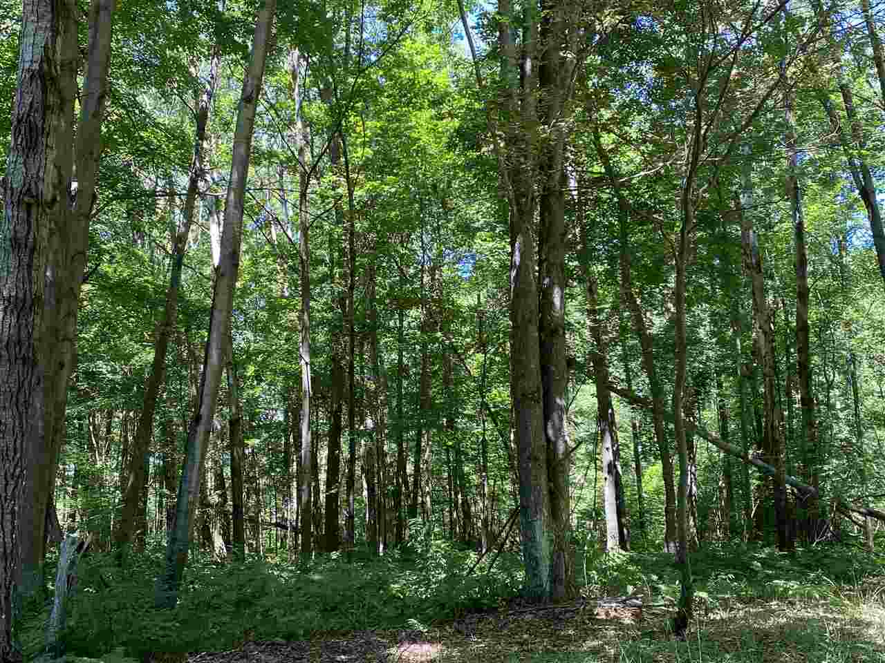 5950-1 Calhoun Road Beaverton, MI 48612 - Photo 62 of 93