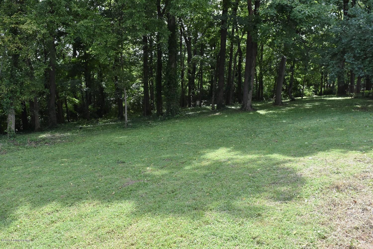 2716 Lamont Road Louisville, KY 40205 - Photo 40 of 46 DSC_1100