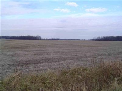 6900 West Gary Road St. Charles, MI 48655 - Photo 3 of 6 20306422-2.JPG