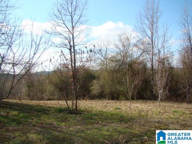 336 Verbon George Road Wellington, AL 36279 - Photo 25 of 25