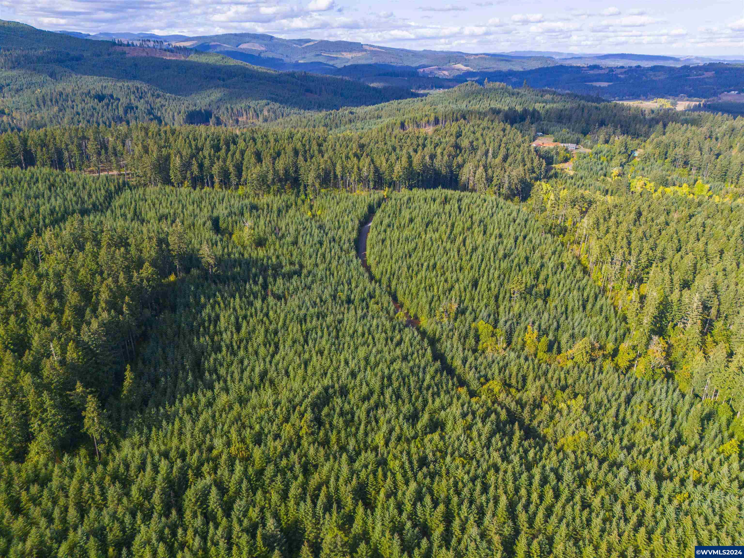 0 Northwest Meadowlake Road Yamhill, OR 97148 - Photo 8 of 14