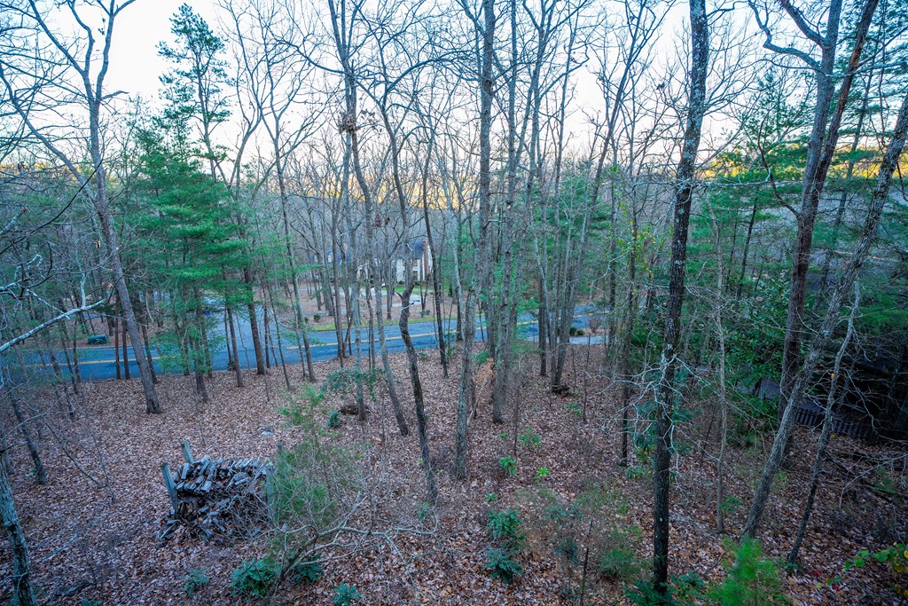 2309 Ravine Way Dalton, GA 30720 - Photo 52 of 52 Gallery Image 52