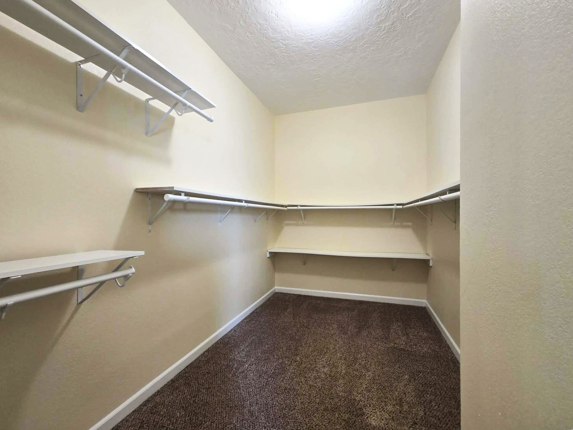 6641 Midfield Drive Houston, TX 77092 - Photo 14 of 21 a view of walk in closet with empty racks