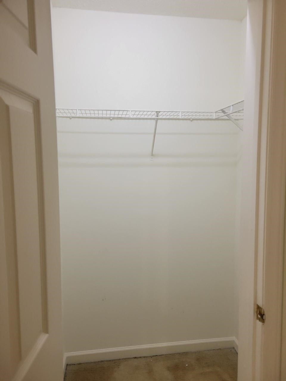 2100 Wolf Tech Lane, Unit 203 Raleigh, NC 27603 - Photo 9 of 10 Photo 9