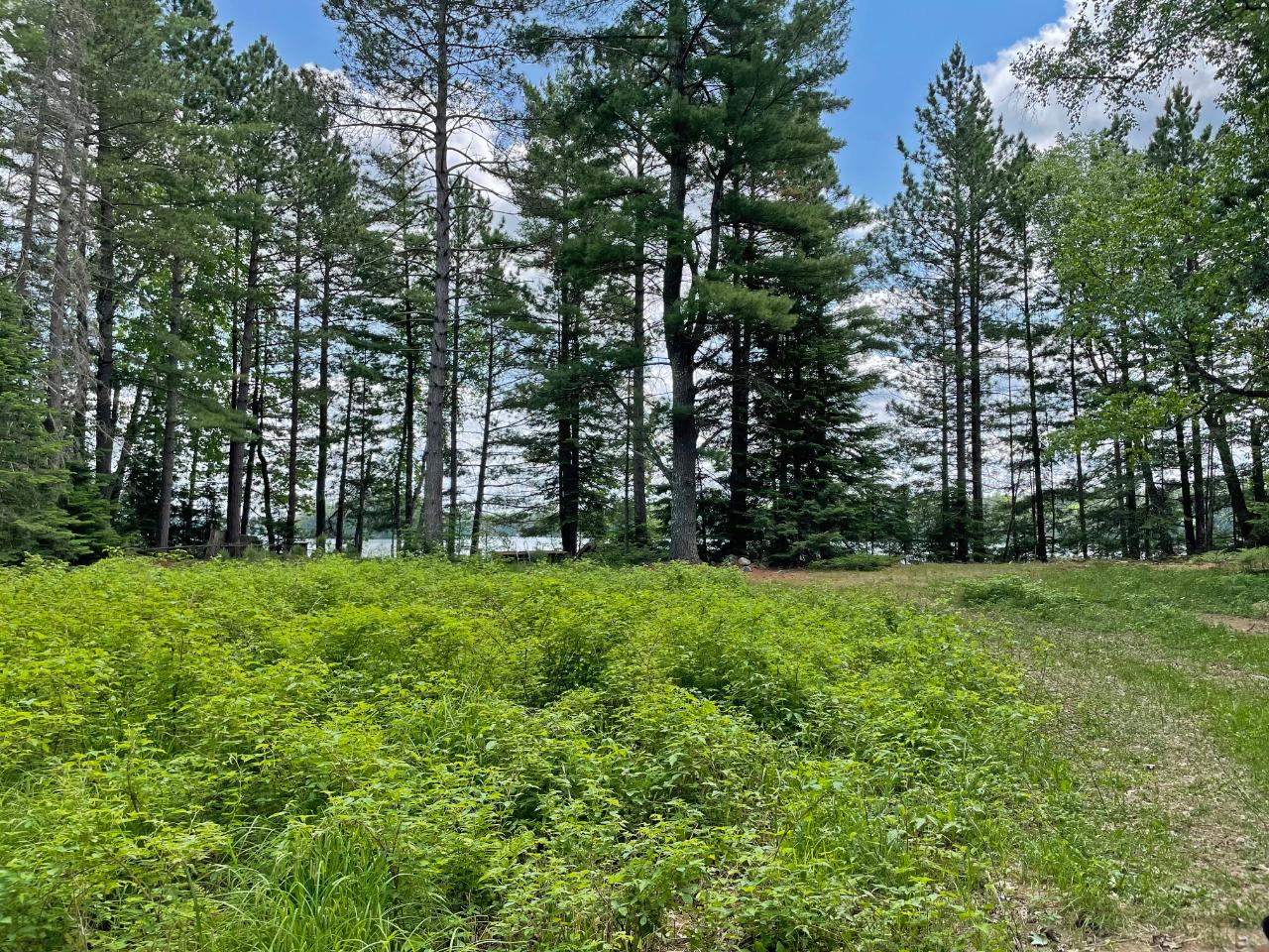 8676 Schneider Road Sayner, WI 54560 - Photo 16 of 17 Gallery Image 16