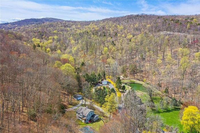 700 Hortontown Road Hopewell Junction, NY 12533 - Photo 9 of 9