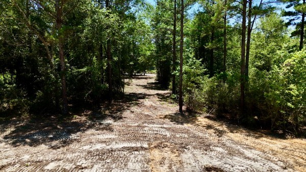 1.97 Acres Airport Road Andalusia, AL 36421 - Photo 6 of 10