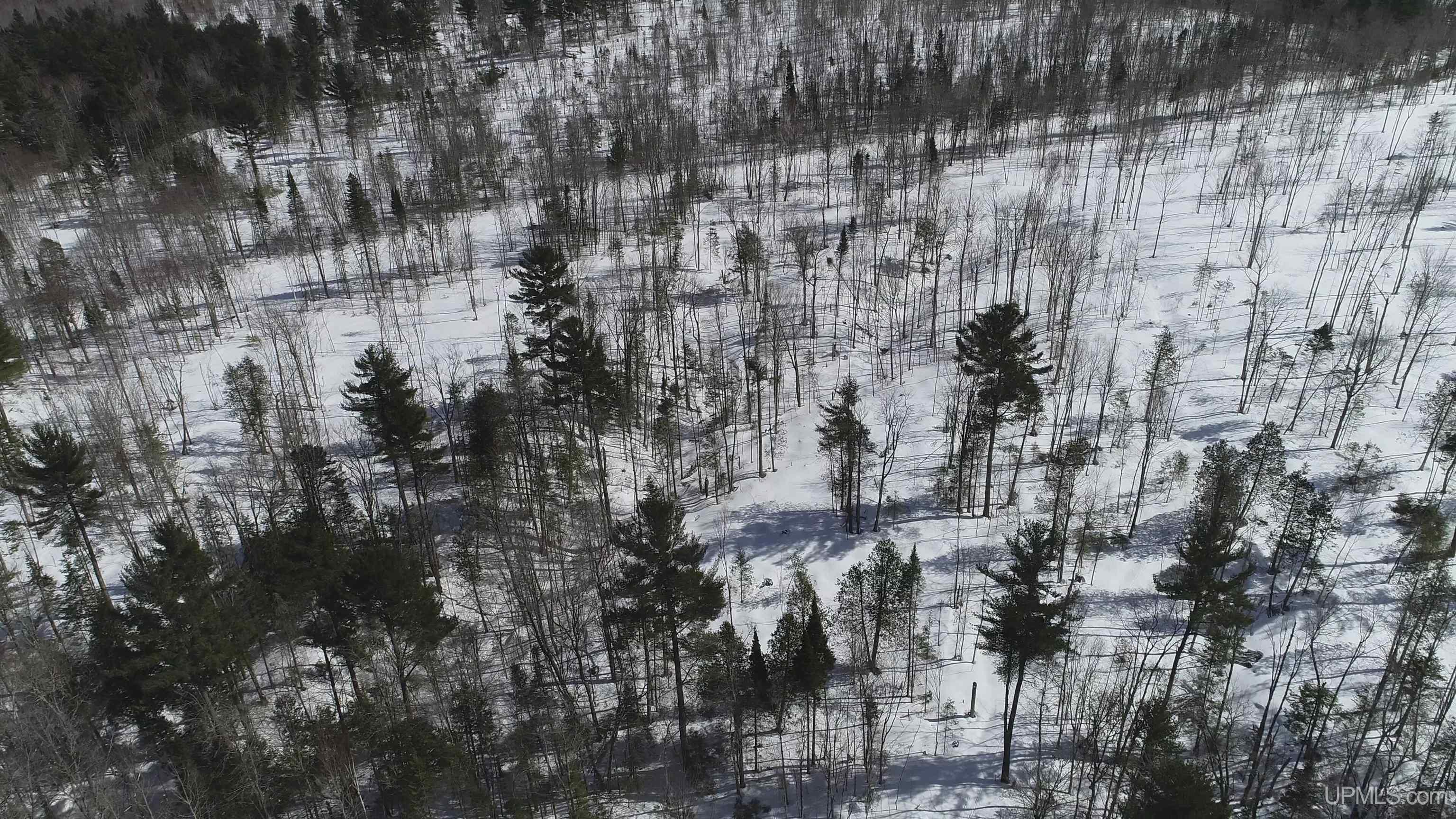 South 8-acres Perch Lake Road Munising, MI 49862 - Photo 37 of 44 Gallery Image 37