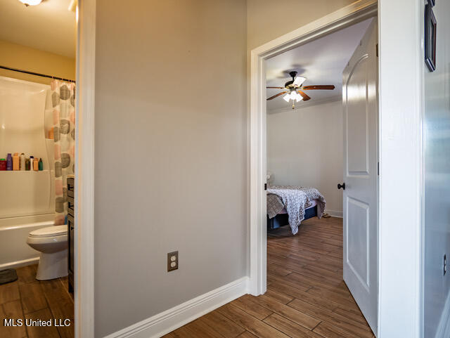 123 A File Road Batesville, MS 38606 - Photo 36 of 56 123 File Rd Batesville MS_2025-08-06_35