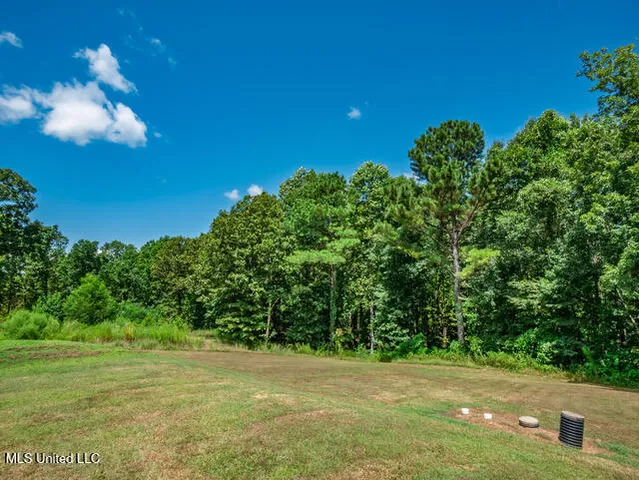 $464,000 | 123 A File Road, Batesville, MS 38606