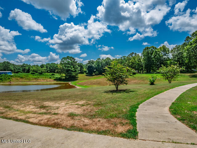 123 A File Road Batesville, MS 38606 - Photo 52 of 56 123 File Rd Batesville MS_2025-08-06_51
