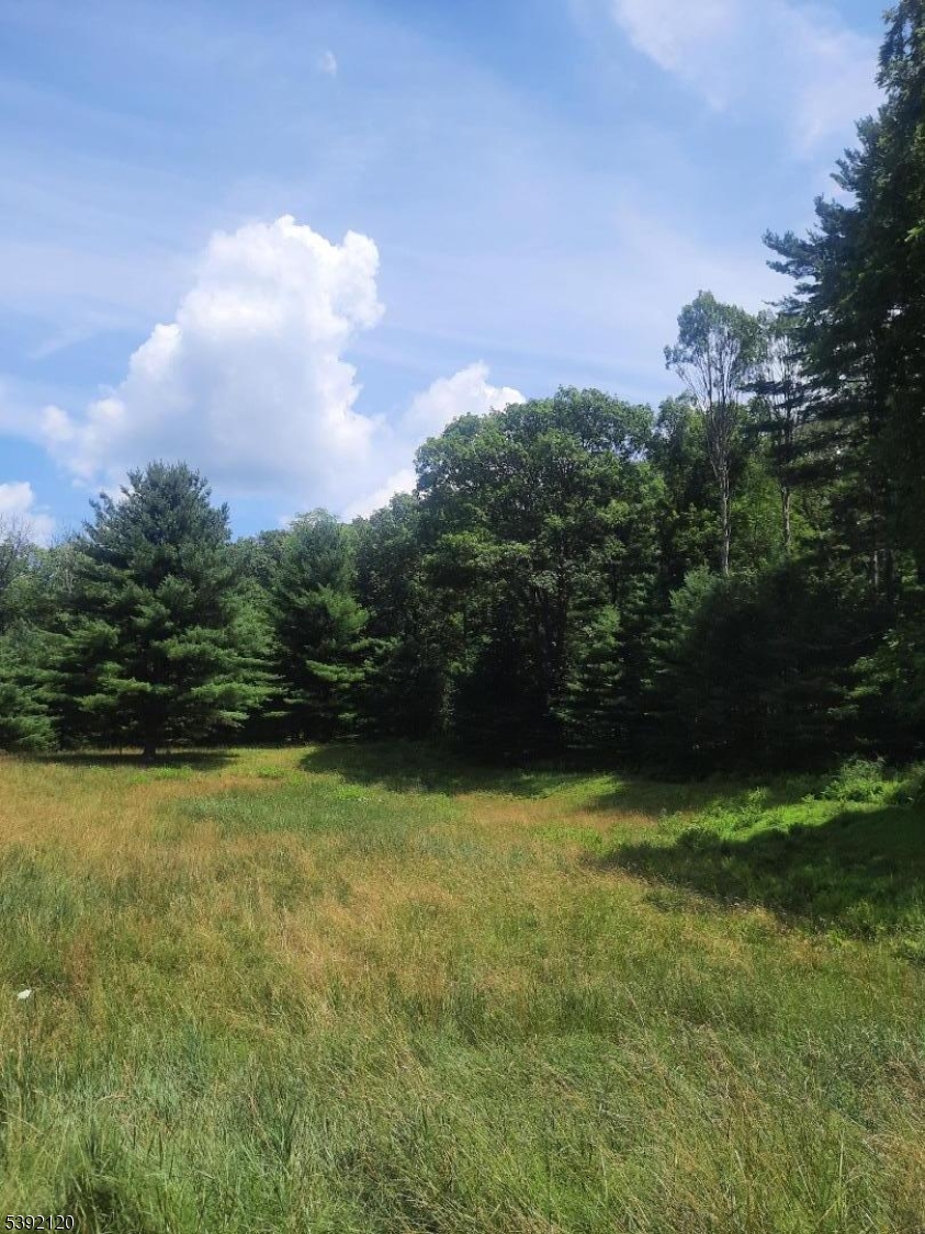 37 New Mashipacong Road Montague, NJ 07827 - Photo 2 of 8 a view of a field of grass and trees