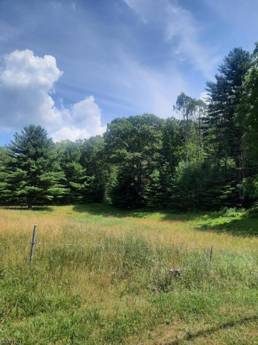37 New Mashipacong Road Montague, NJ 07827 - Photo 4 of 8 a backyard of a house with lots of green space