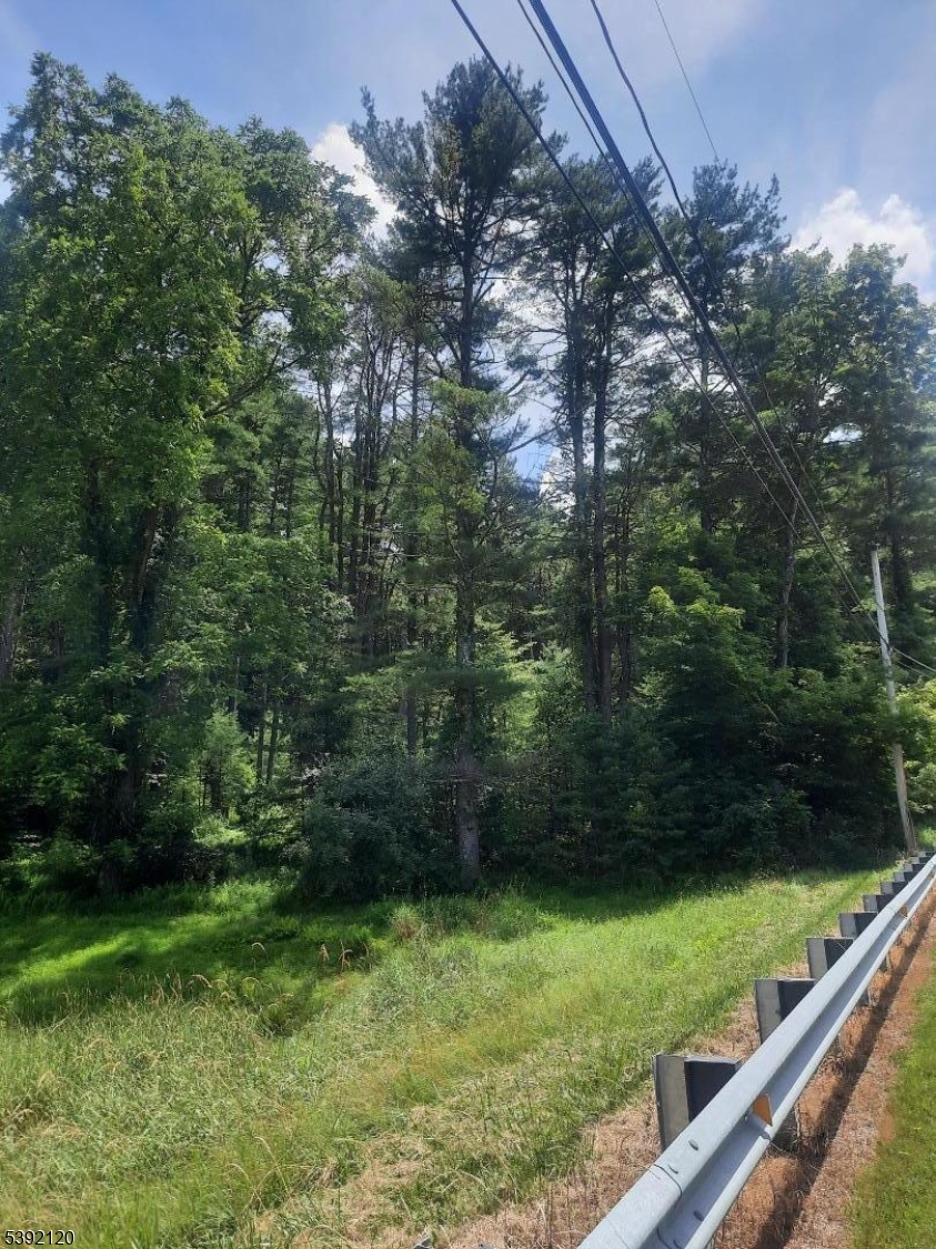 37 New Mashipacong Road Montague, NJ 07827 - Photo 5 of 8 a view of a yard