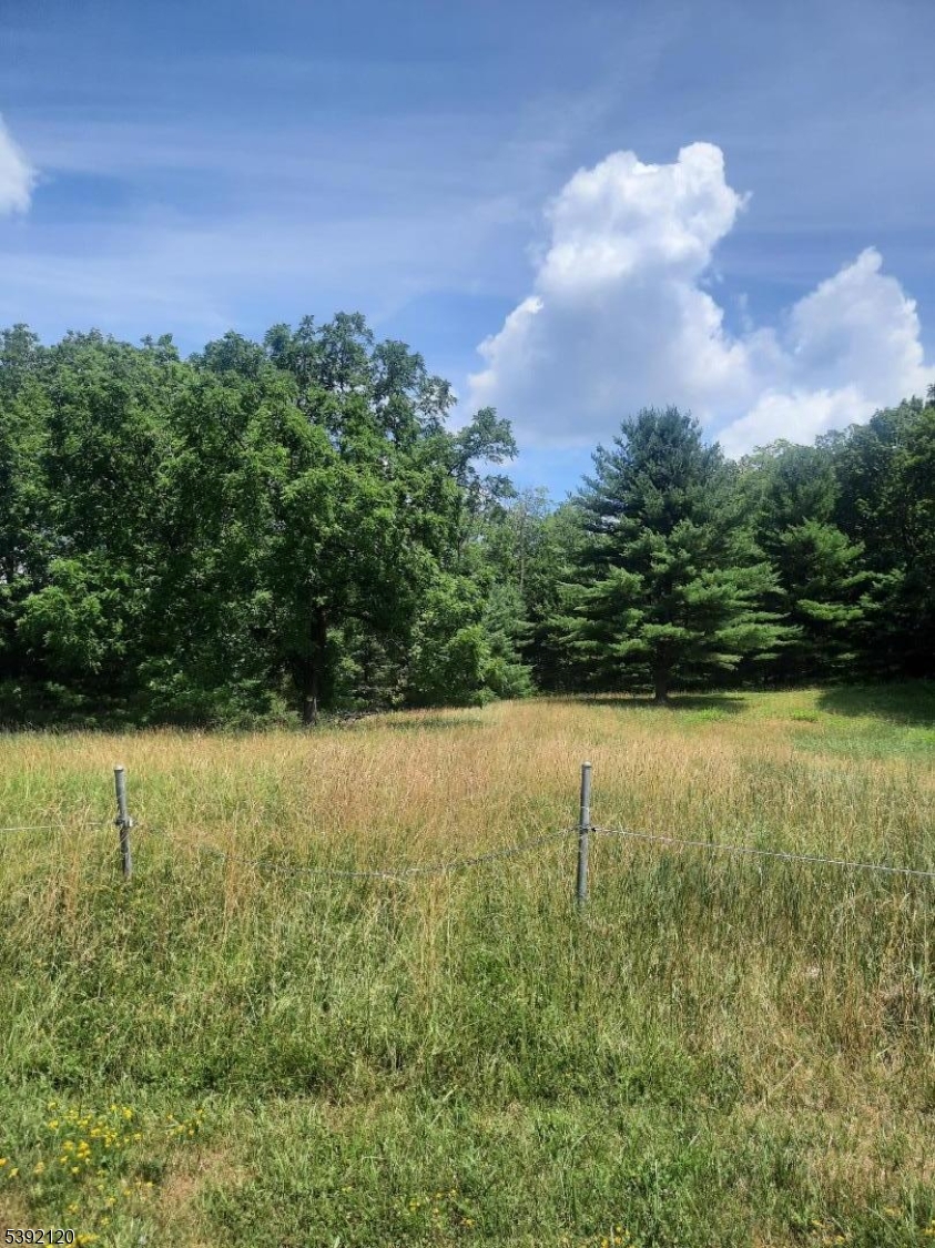 37 New Mashipacong Road Montague, NJ 07827 - Photo 6 of 8 a view of outdoor space and yard