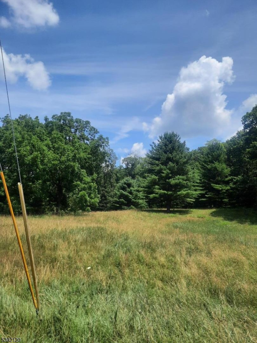 37 New Mashipacong Road Montague, NJ 07827 - Photo 7 of 8 a view of a big yard with potted plants and mountain view