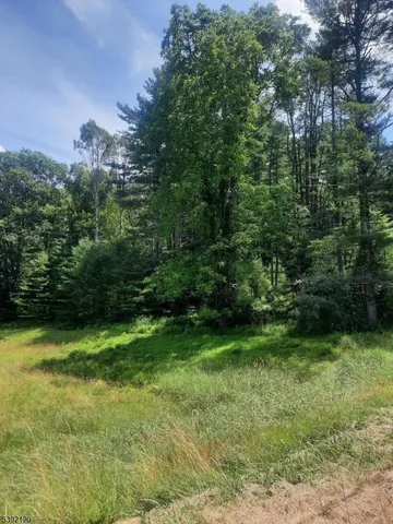 a view of a green yard