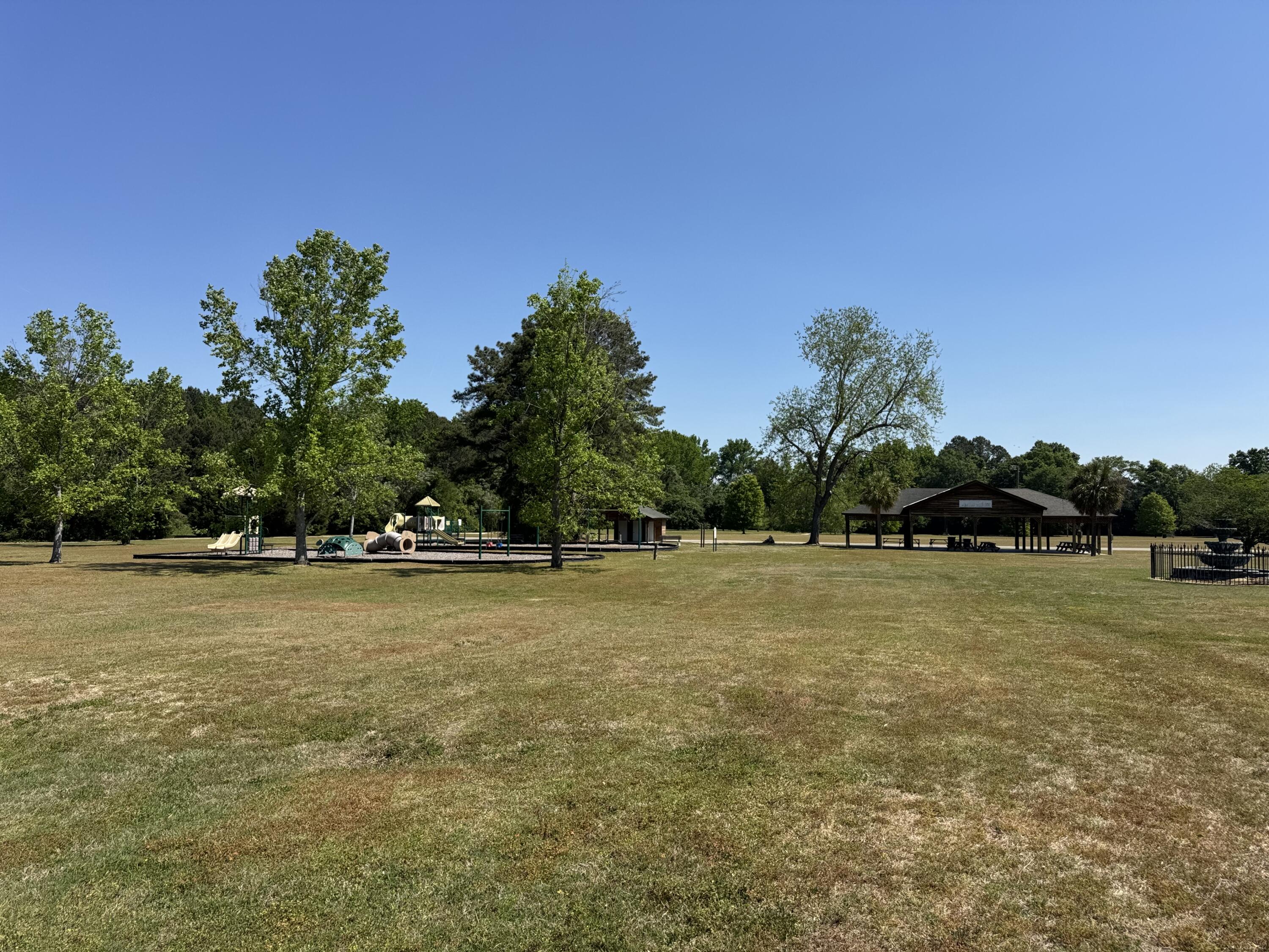 713 East Harlin Street Elloree, SC 29047 - Photo 45 of 46 IMG_9499