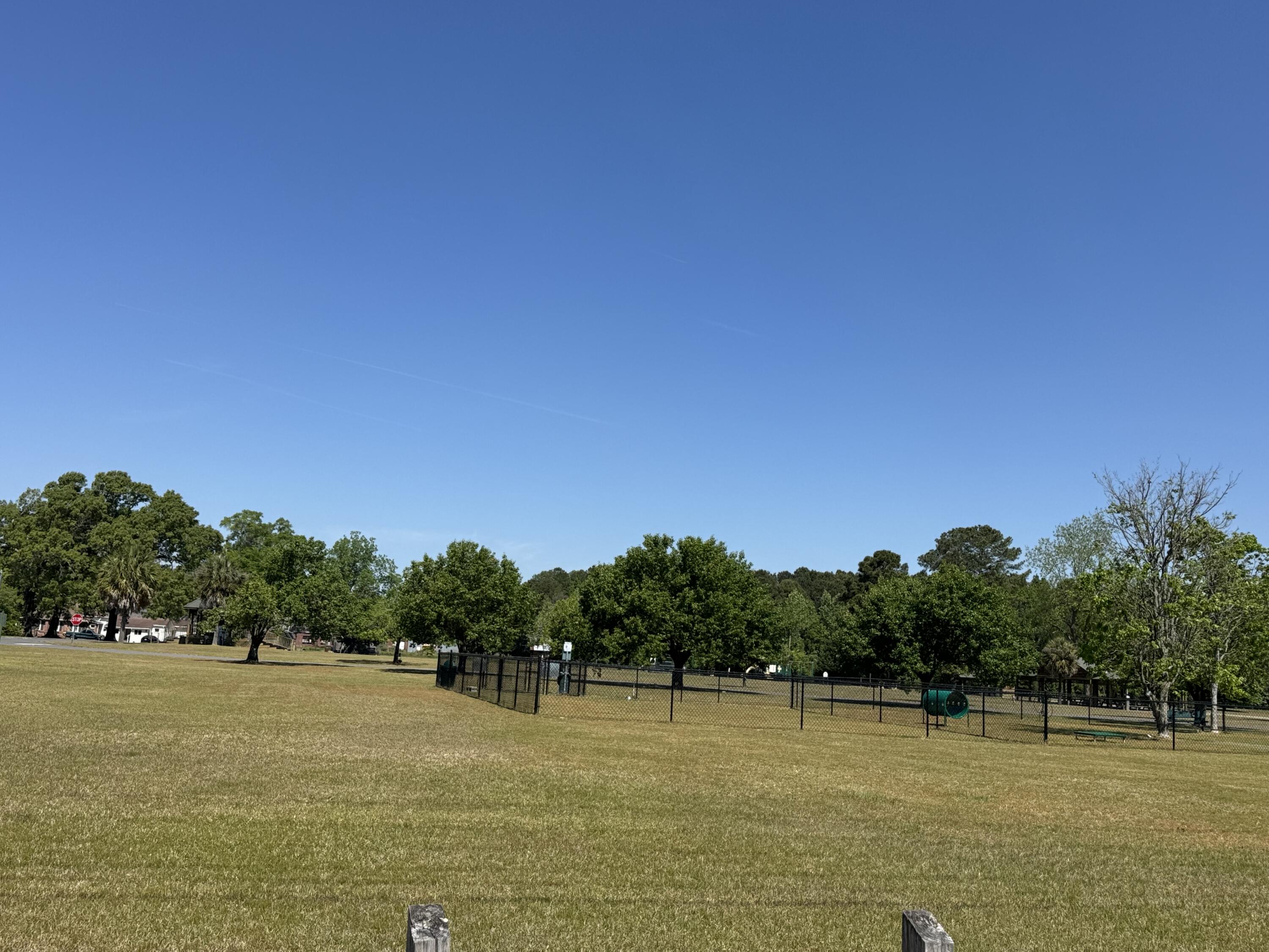 713 East Harlin Street Elloree, SC 29047 - Photo 46 of 46 IMG_9496