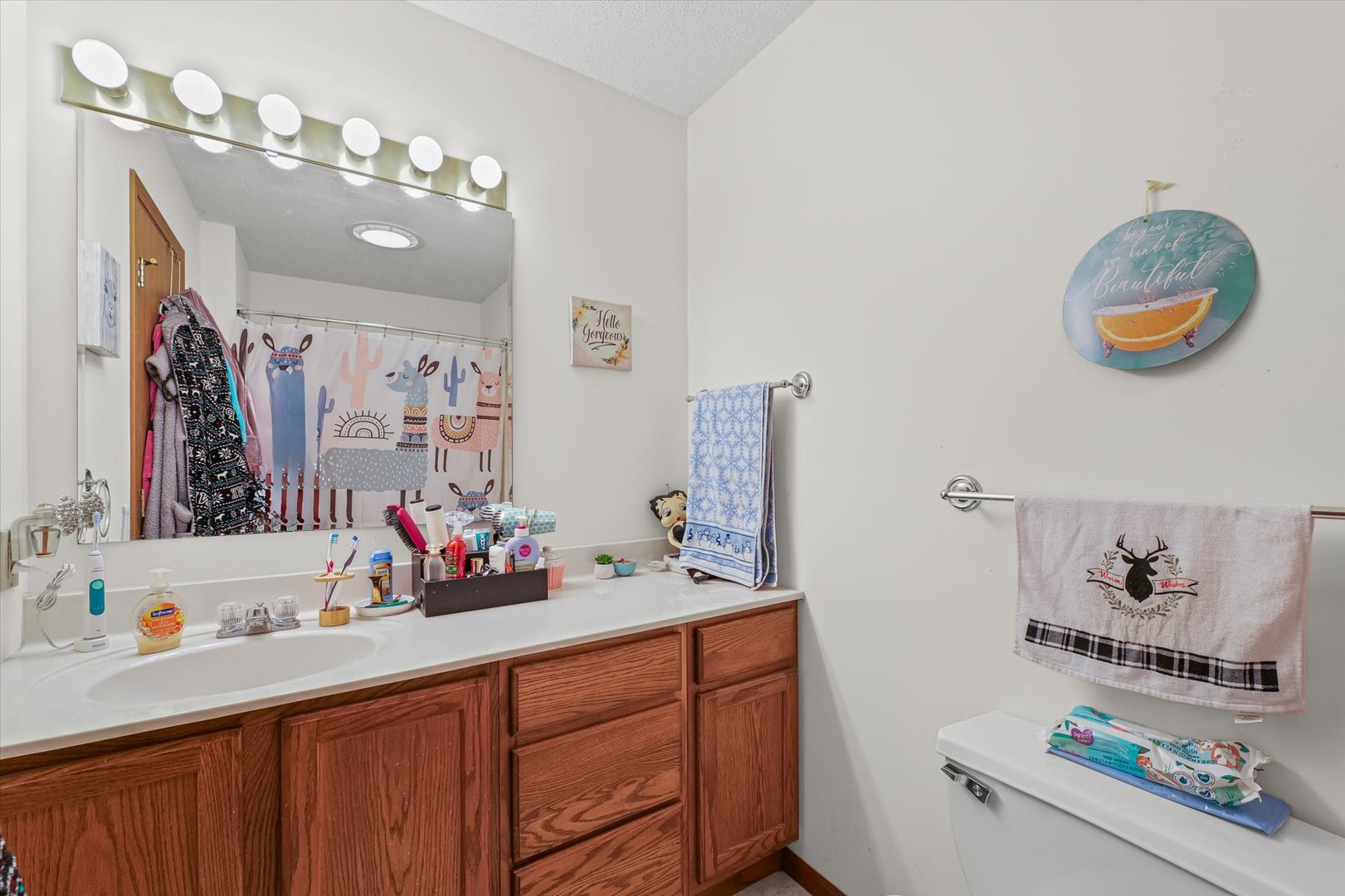 707 Country View Drive Philo, IL 61864 - Photo 15 of 28 a bathroom with a sink mirror and vanity
