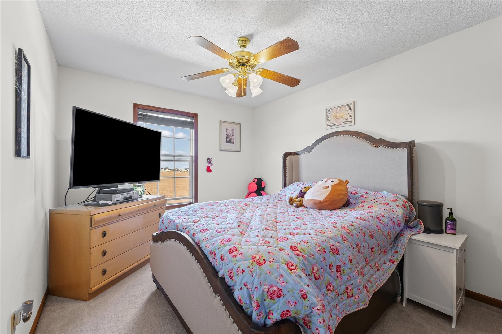 707 Country View Drive Philo, IL 61864 - Photo 17 of 28 a bedroom with a bed and a flat screen tv