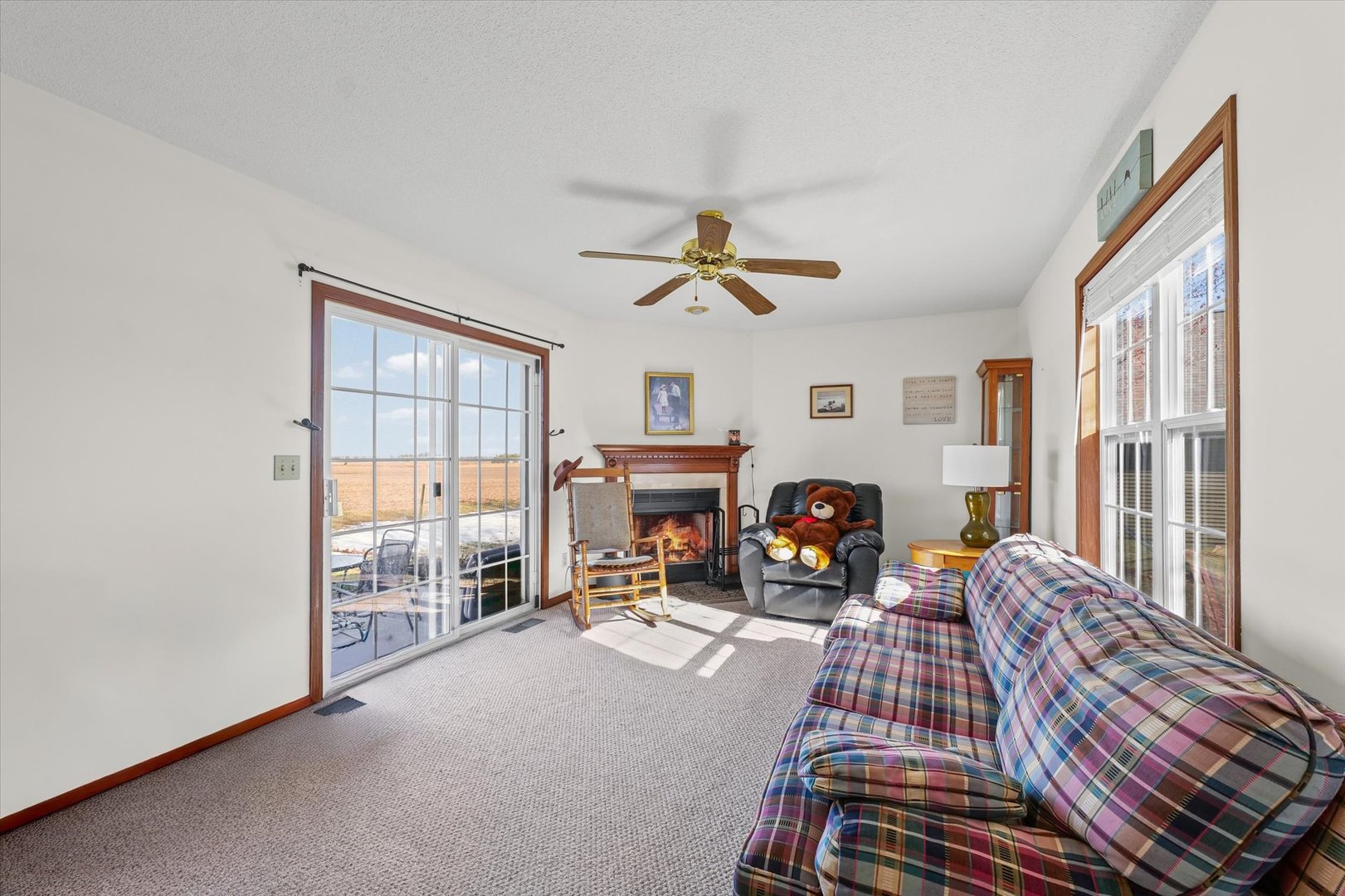 707 Country View Drive Philo, IL 61864 - Photo 7 of 28 a living room with furniture a fireplace and a floor to ceiling window