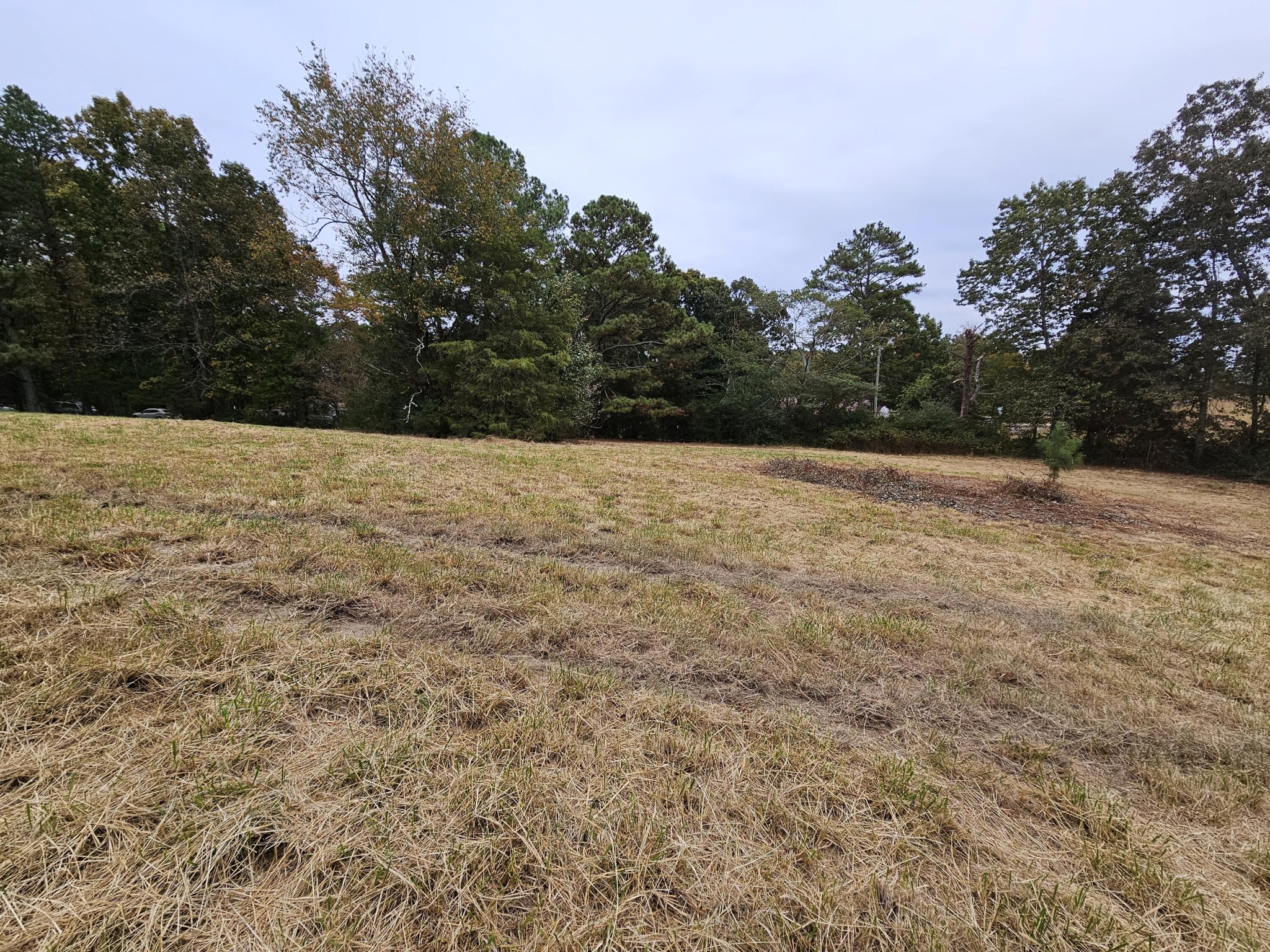 20 Wilkinson Road Northeast Cleveland, TN 37323 - Photo 2 of 3 Gallery Image 2