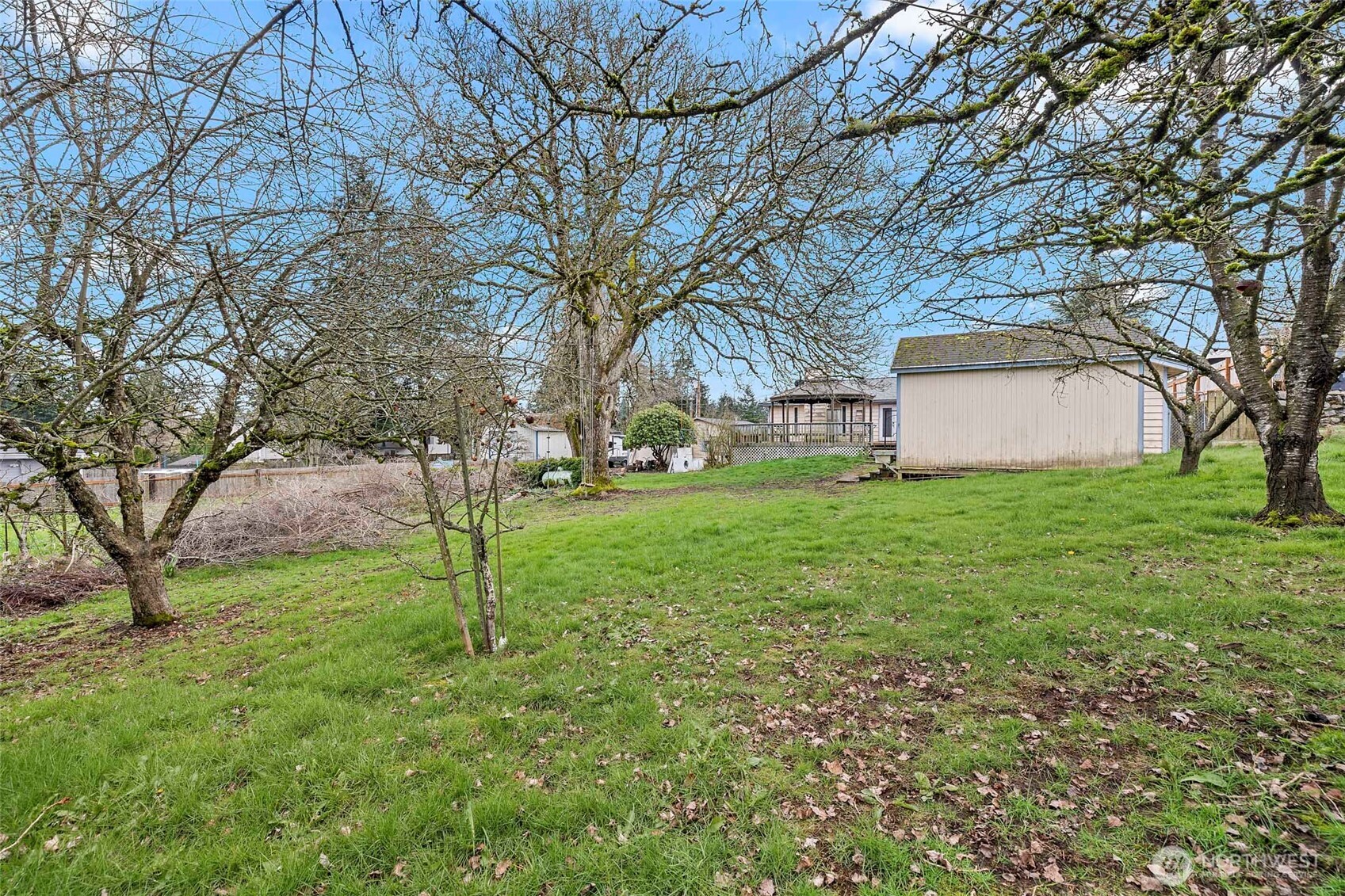 15 76th Street Southwest Everett, WA 98203 - Photo 35 of 39 a view of backyard with tree
