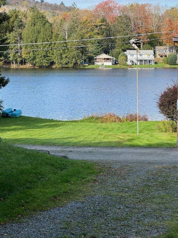 60 Mountainview Drive Windsor, NY 13865 - Photo 2 of 31