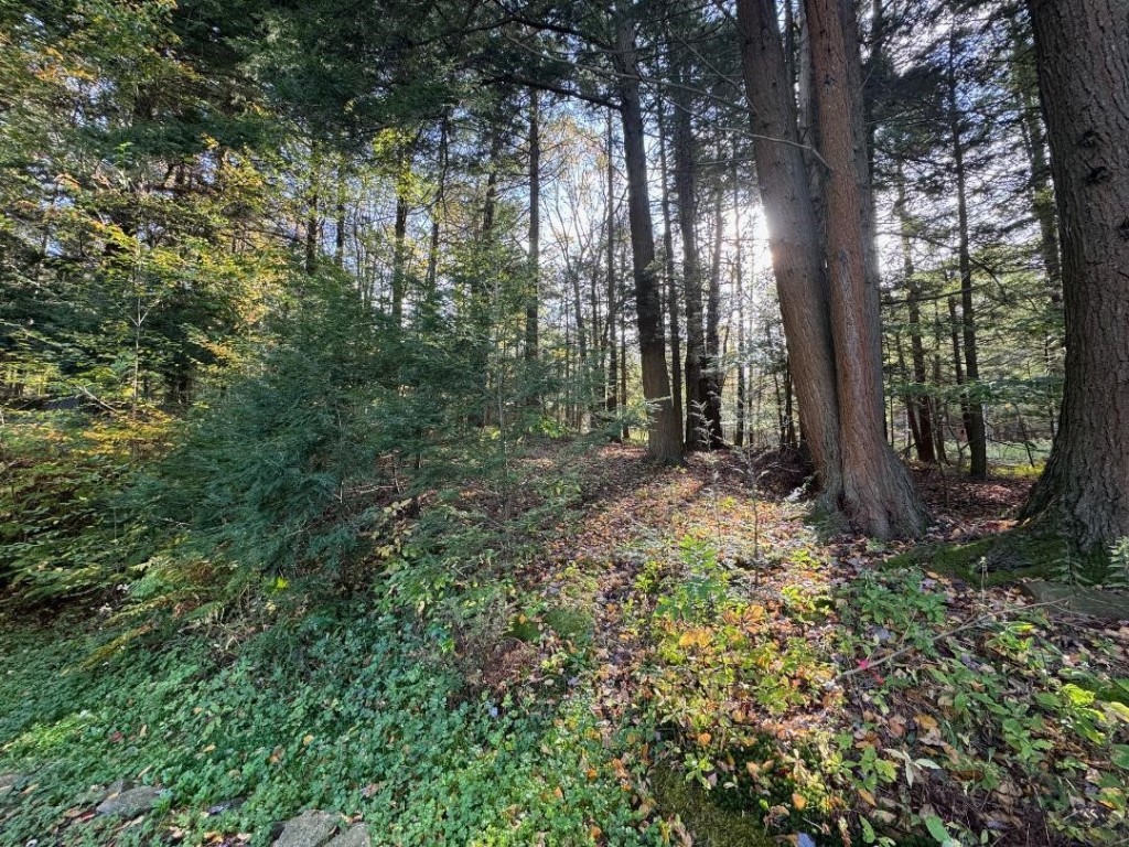 60 Mountainview Drive Windsor, NY 13865 - Photo 31 of 31