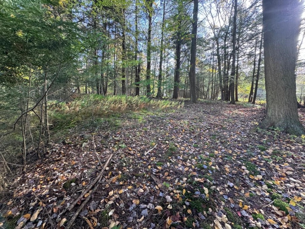 60 Mountainview Drive Windsor, NY 13865 - Photo 5 of 31