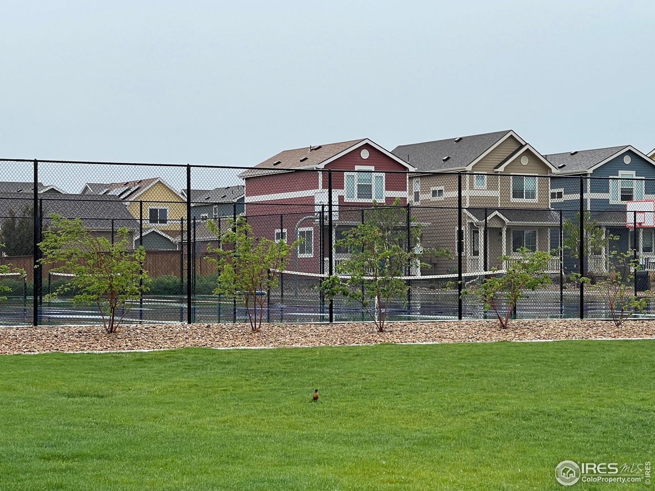 515 Country Road Berthoud, CO 80513 - Photo 24 of 27 Tennis Courts