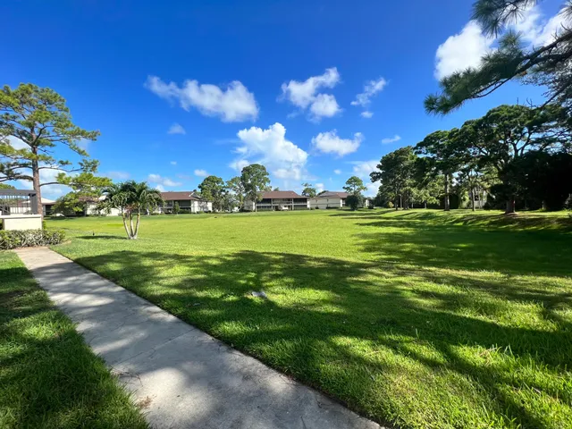 a view of a big yard with plants and large trees