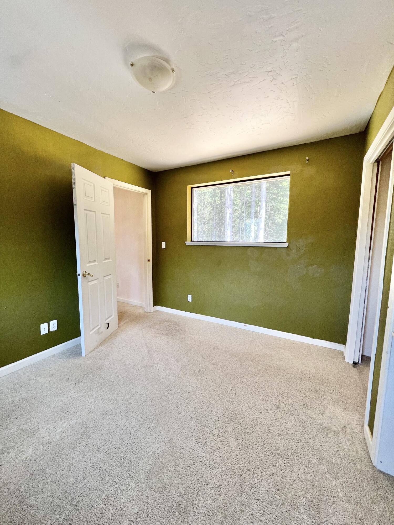955 Spring Road Whitethorn, CA 95589 - Photo 20 of 74