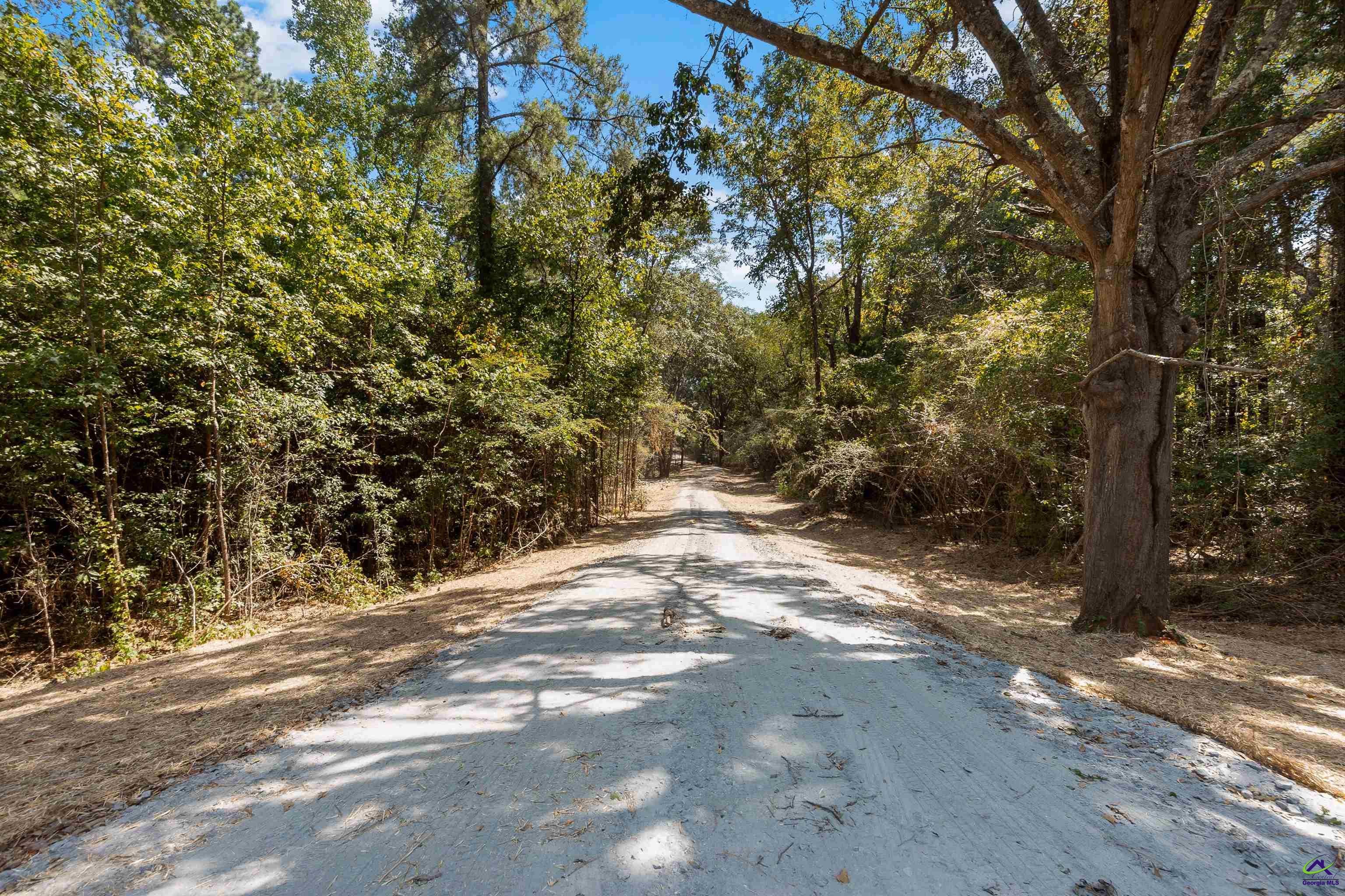 431 Old Rumble Road Forsyth, GA 31029 - Photo 73 of 80 Gallery Image 73