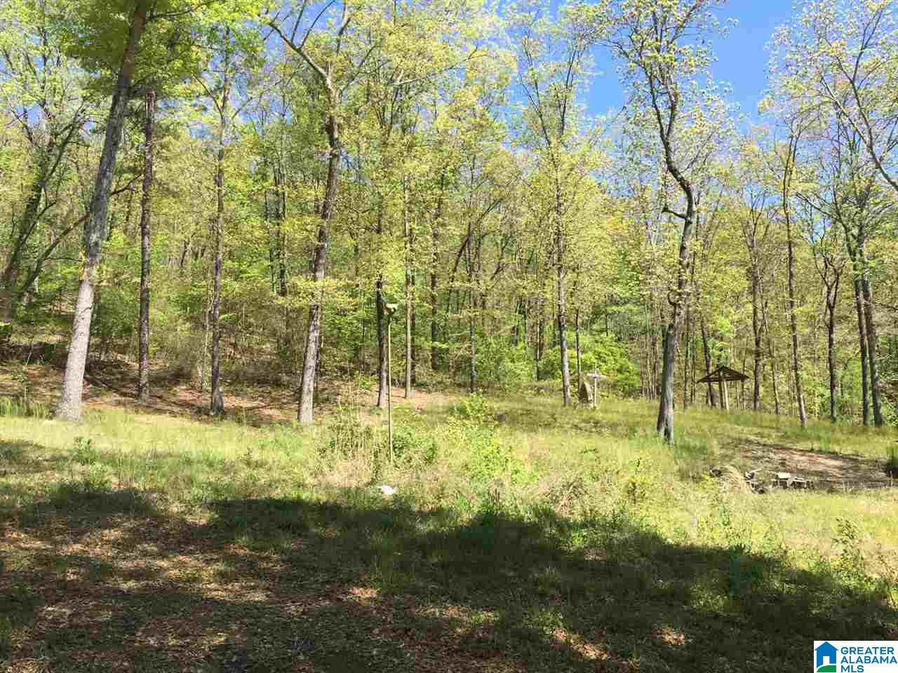 401 Shoal Creek Road Ashville, AL 35953 - Photo 6 of 11