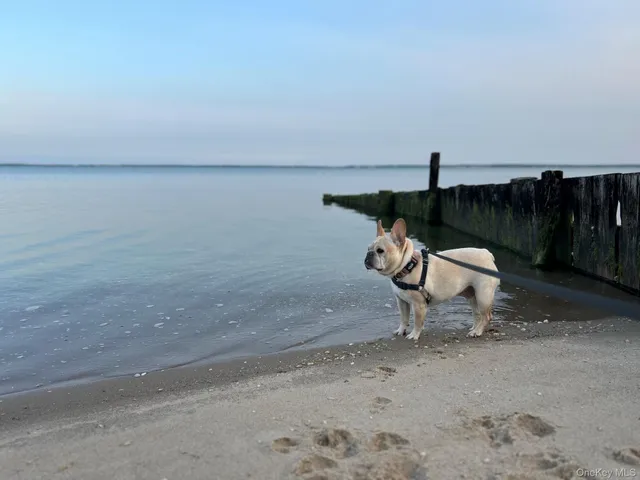 $3,800 | 105 Krause Road, Mattituck, NY 11952