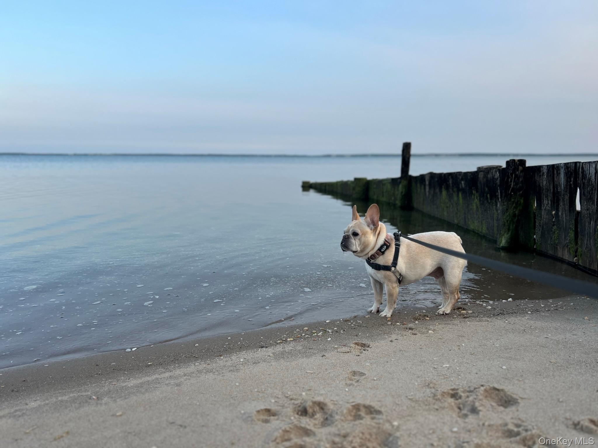 105 Krause Road Mattituck, NY 11952 - Photo 3 of 20 Neighborhood Beach
