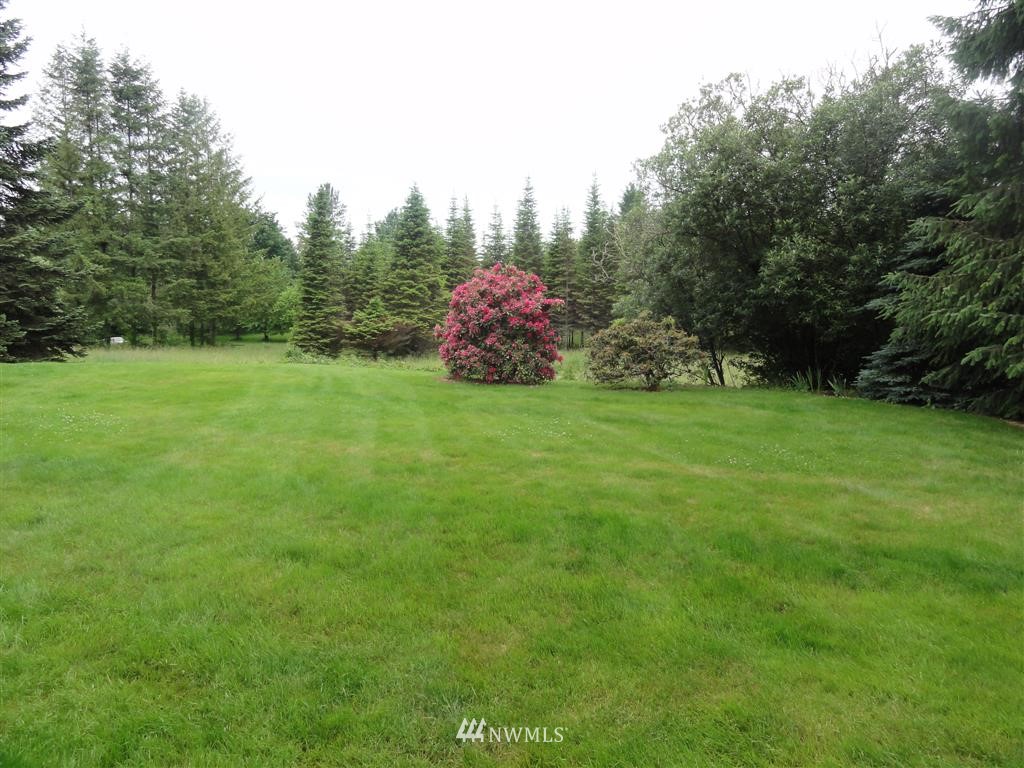 106 Del Ray Road Mossyrock, WA 98564 - Photo 22 of 25 Gallery Image 22