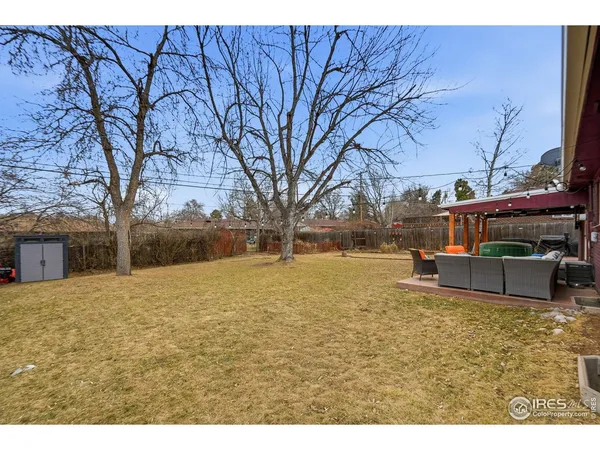 a view of a yard with a large tree