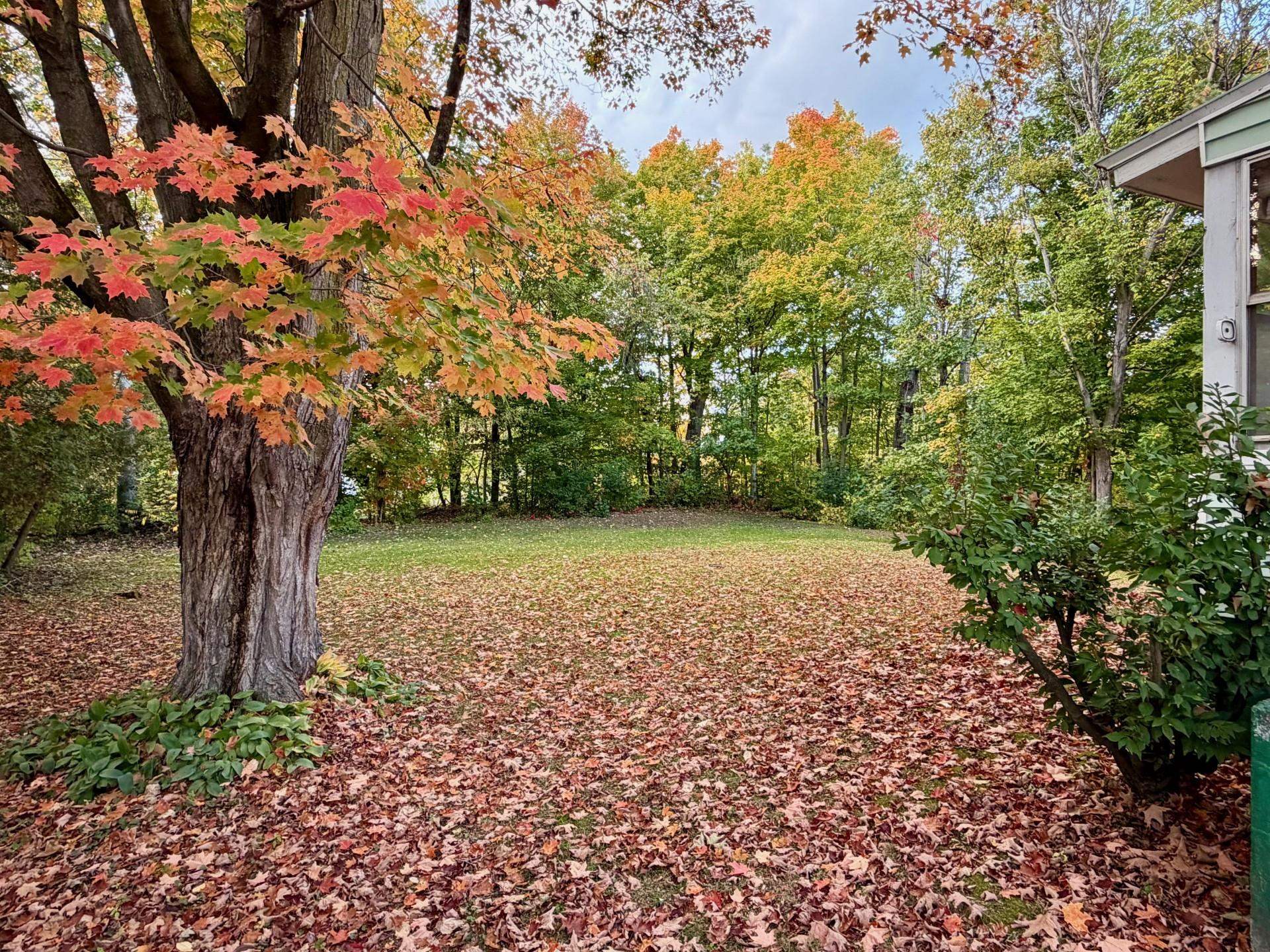 9 Furman Place Swanton, VT 05488 - Photo 5 of 21