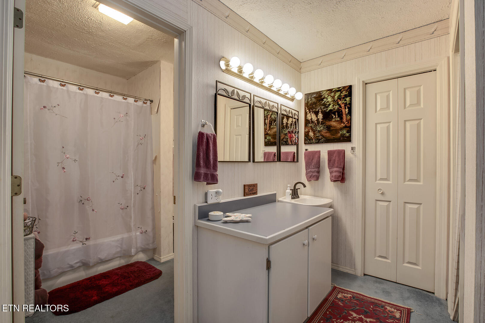 242 Chatuga Way Loudon, TN 37774 - Photo 46 of 60 46_242 Chatuga Way_GuestBath