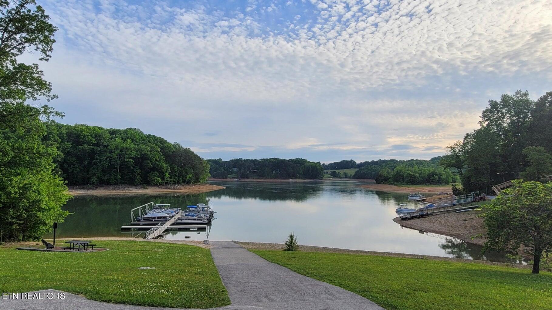 Shiloh Springs Road Rutledge, TN 37861 - Photo 4 of 6 pic 4