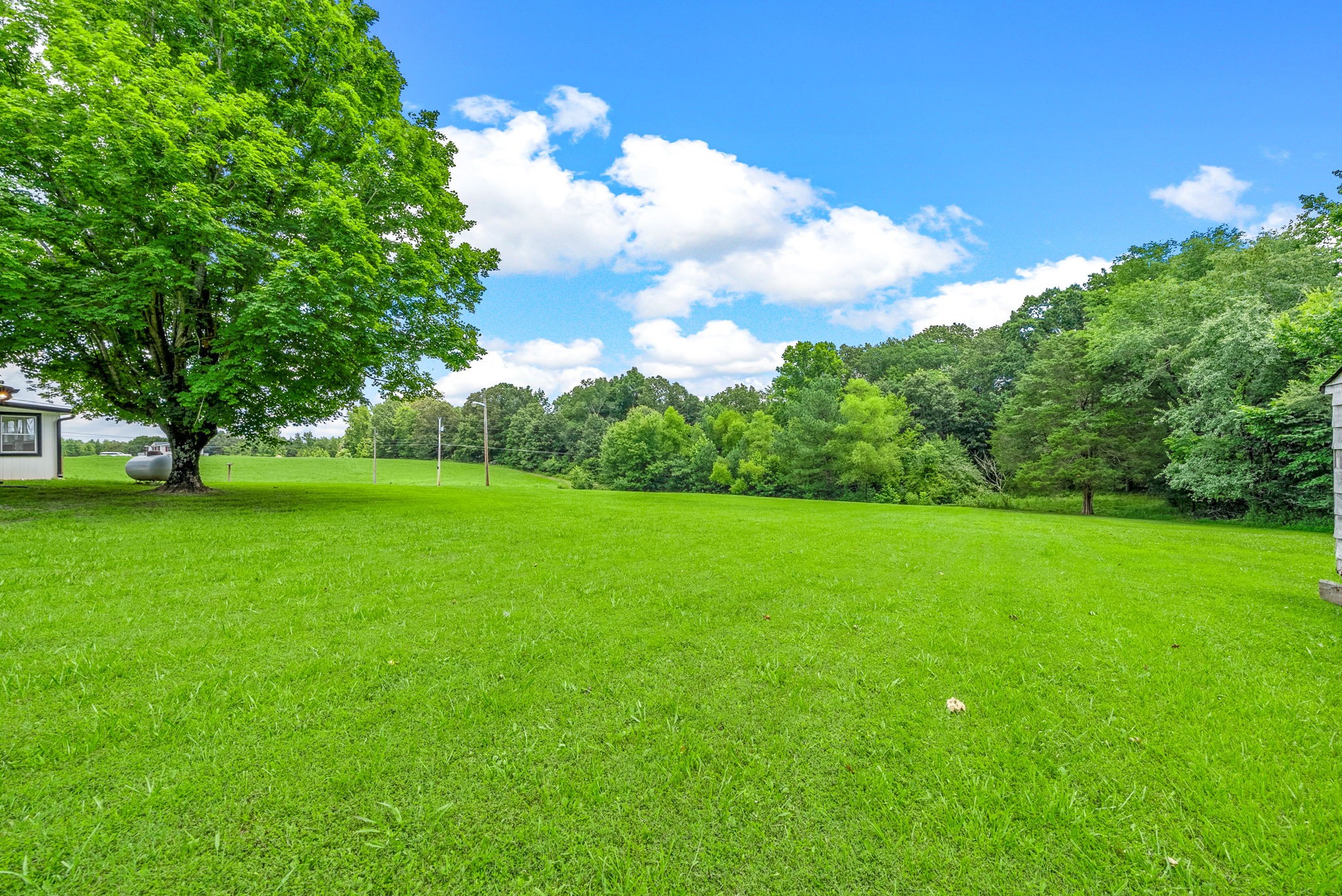 138 Walker Ridge Road Big Rock, TN 37023 - Photo 34 of 42 a view of field with an trees