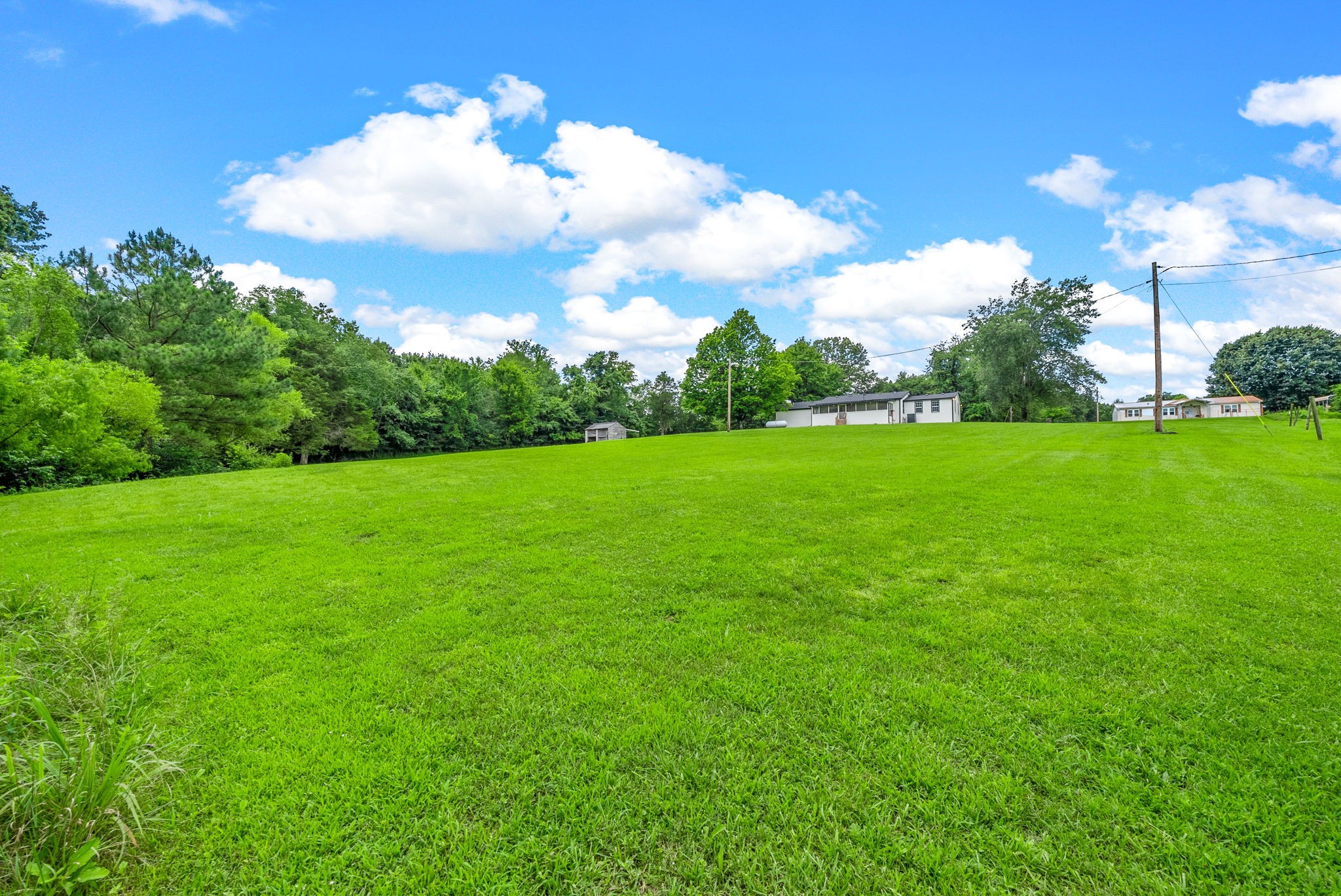 138 Walker Ridge Road Big Rock, TN 37023 - Photo 35 of 42 a view of a big yard with plants and large trees