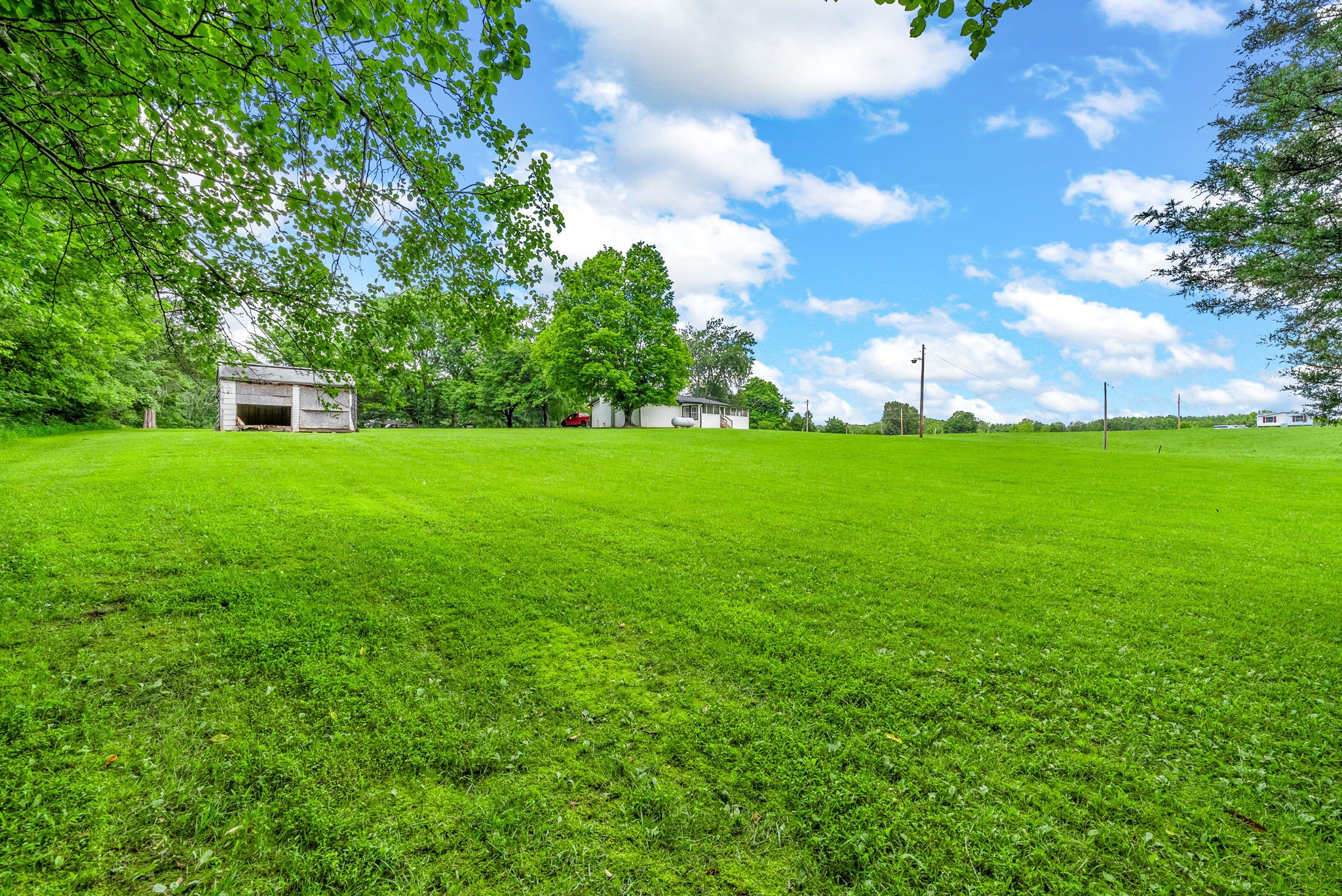 138 Walker Ridge Road Big Rock, TN 37023 - Photo 37 of 42 a view of a big yard with plants and large trees