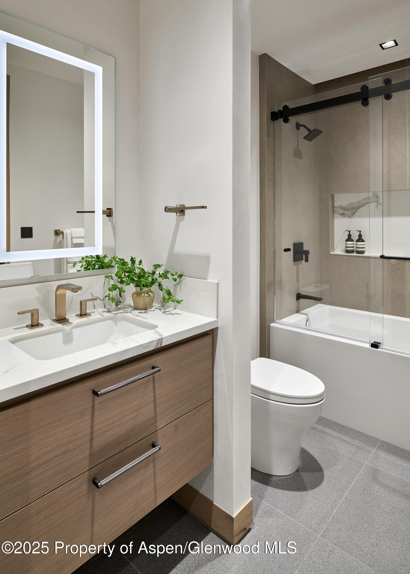 411 Pearl Court Aspen, CO 81611 - Photo 34 of 45 a bathroom with a sink a toilet and shower