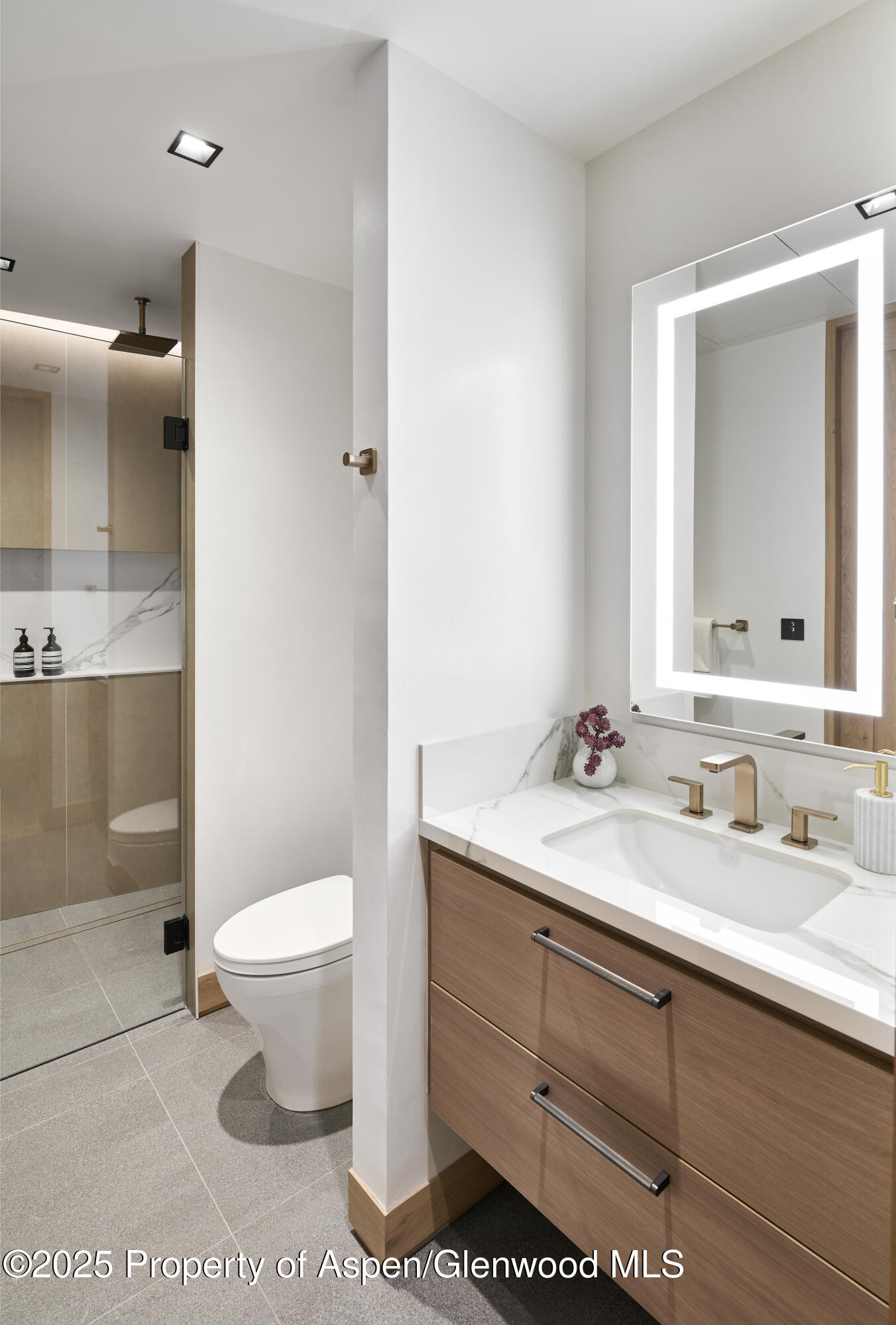 411 Pearl Court Aspen, CO 81611 - Photo 37 of 45 a bathroom with a sink a toilet and a mirror