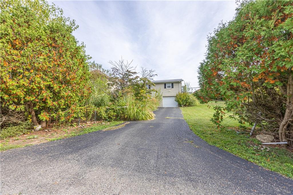 82 East Kerr Street Uniontown, PA 15401 - Photo 4 of 18 a view of a garden with plants and trees